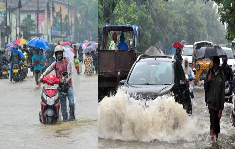 Impact Of Cyclone Dithva On Nellore And Tirupati Districts