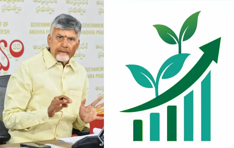 State Focuses On Speed And Investment Growth